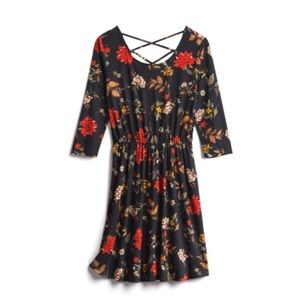 Marjorie back detail brush knit dresss! NWT